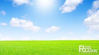 睿容空氣凈化器加盟指南 加盟費、官網、條件流程及政策支持解析